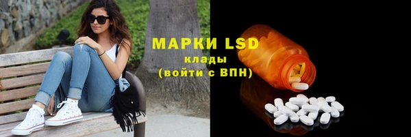 амф Алексин